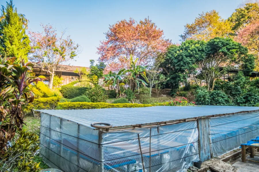 khun chang khian highland agricultural research and training station doi pui