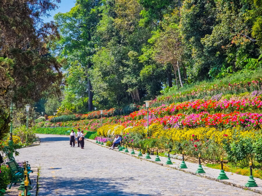 Flower Alley at Bhubing Palace Doi Suthep Chiang Mai