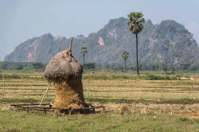 hpa campaign in burma