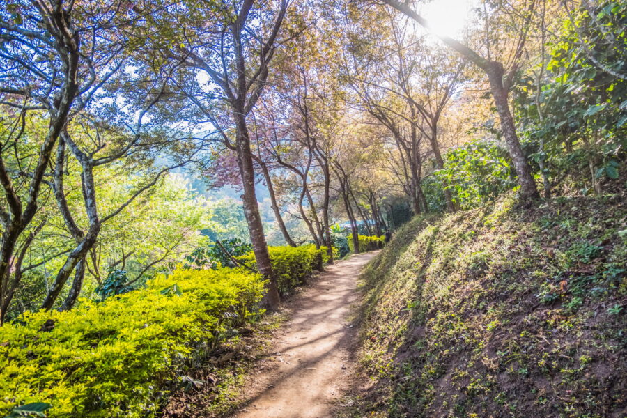 chemin au khun chang khian highland agricultural research and training station du doi pui