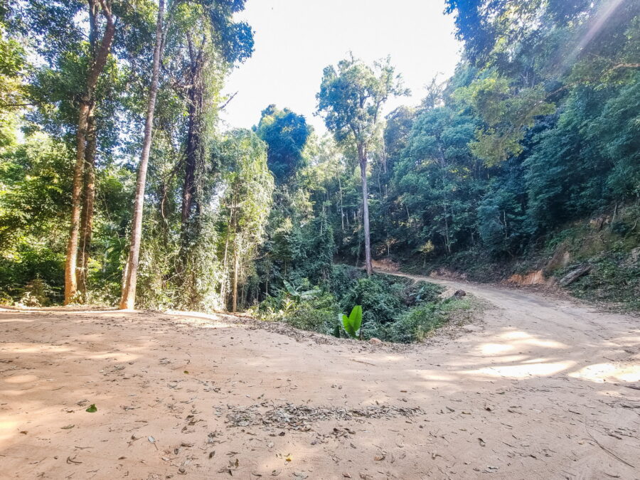 chemin menant fraiseraie khun chang khian doi pui