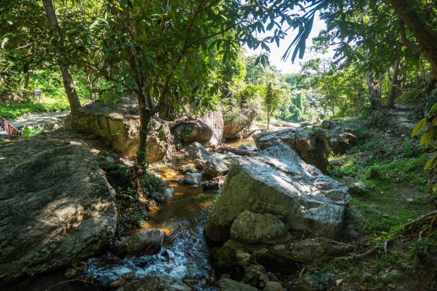 shady corner huay kaew waterfall chiang mai