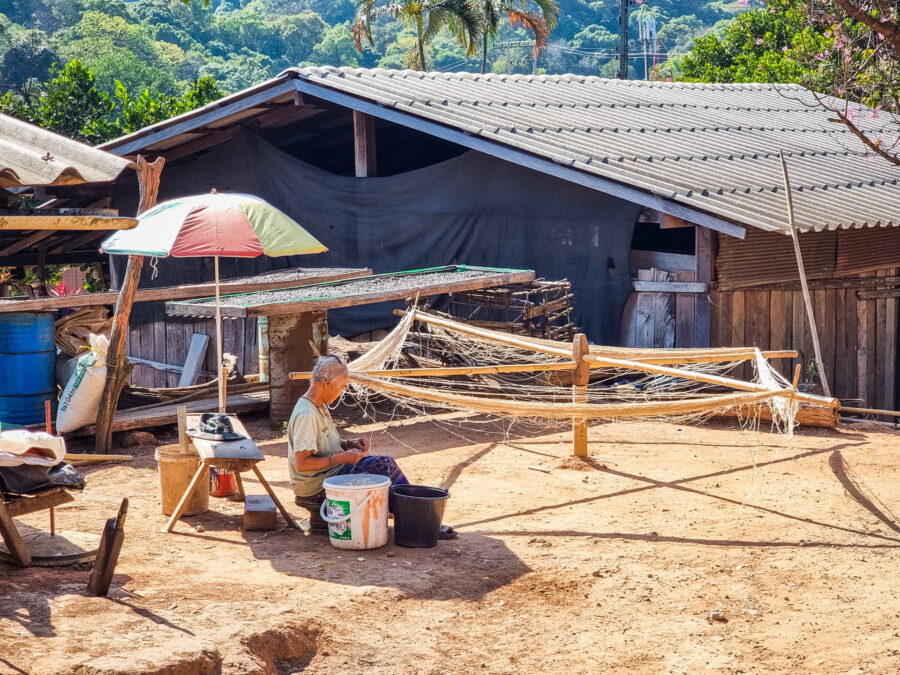 enroulage du fil village hmong khun chang khian doi pui