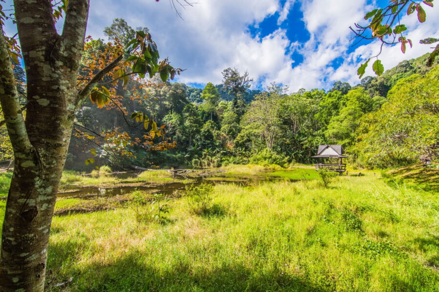 etang au khun chang khian highland agricultural research and training station doi pui