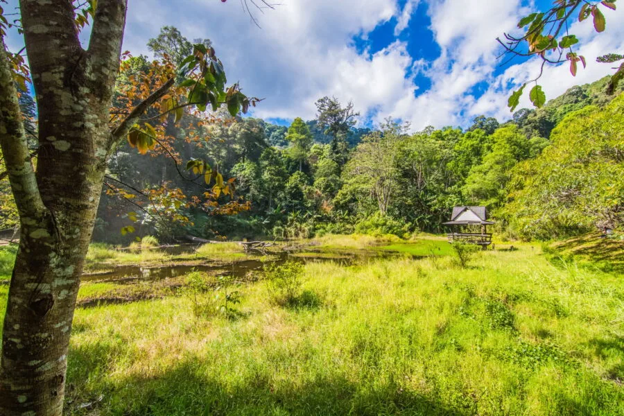 etang au khun chang khian highland agricultural research and training station doi pui