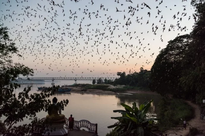 bat cave exit hpa an burma