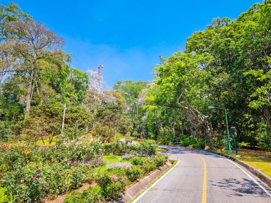 landscaped garden at bhubing palace doi suthep chiang mai