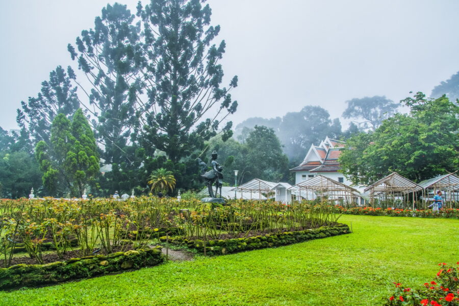 Bhubing Palace Gardens in Fog Chiang Mai