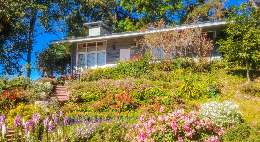 house with flowerbed bhubing palace chiang mai