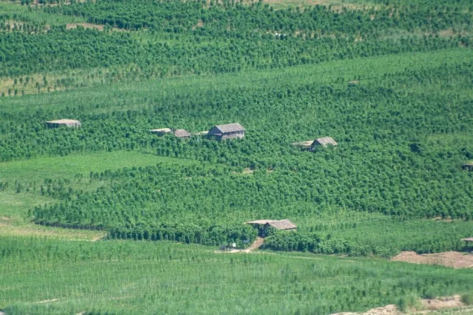 agriculture hpa in burma