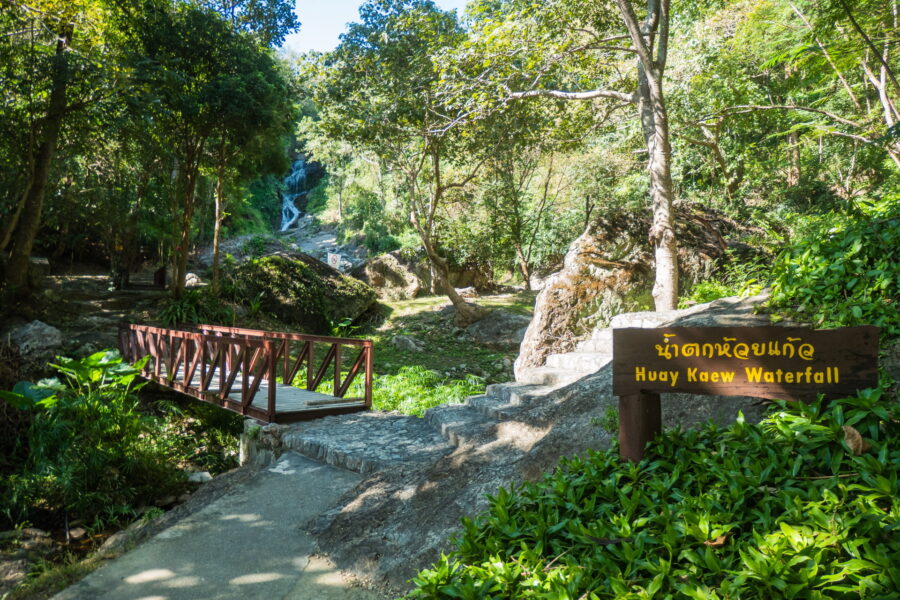trail leading to huay kaew waterfall chiang mai