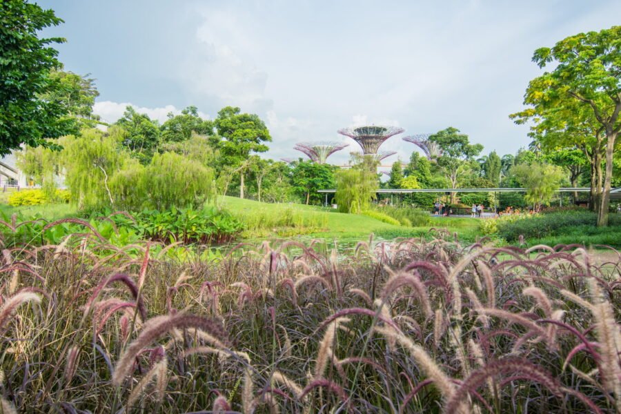 jardin garden by the bays singapour