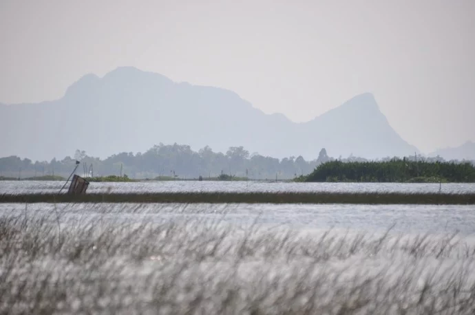 South Thailand Pattalung Lake