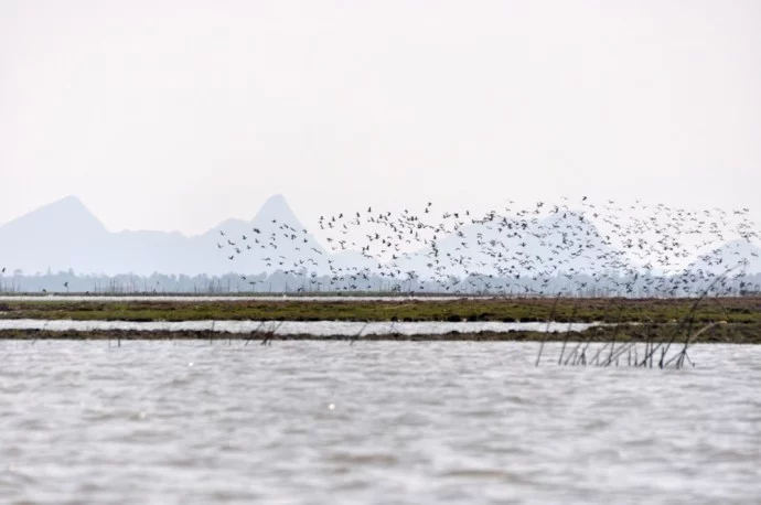 South Thailand Pattalung Lake