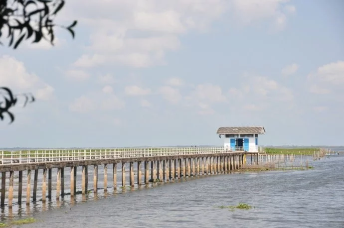 South Thailand Pattalung Lake