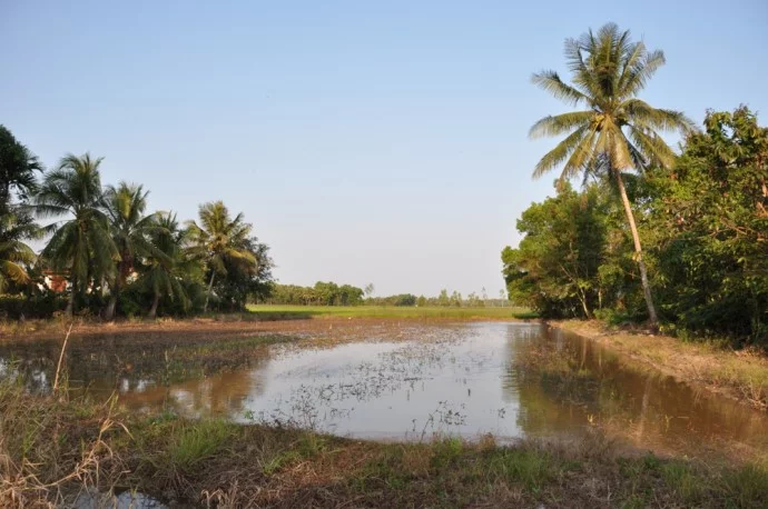 South Thailand Pattalung countryside