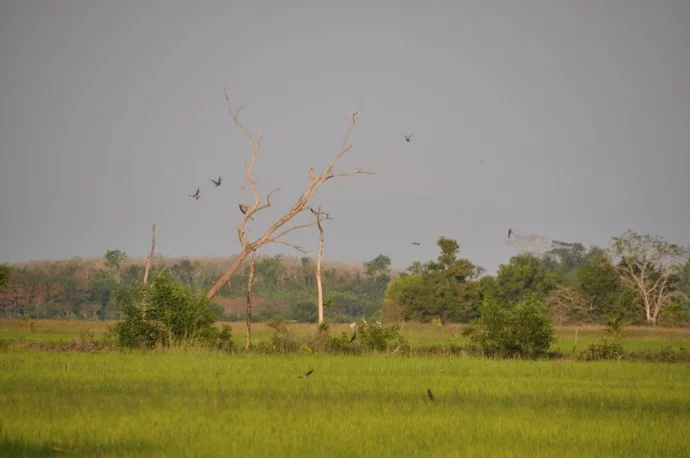 South Thailand Pattalung countryside