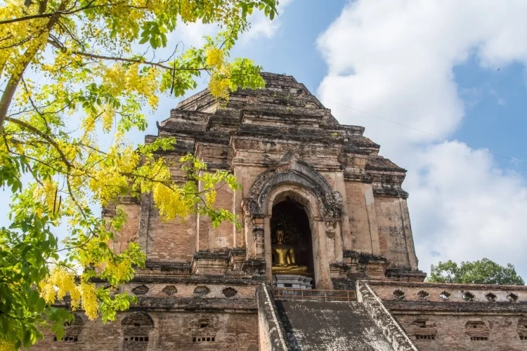 wat chedi luang chaing may april