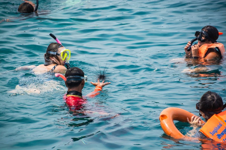 snorkeling koh rang