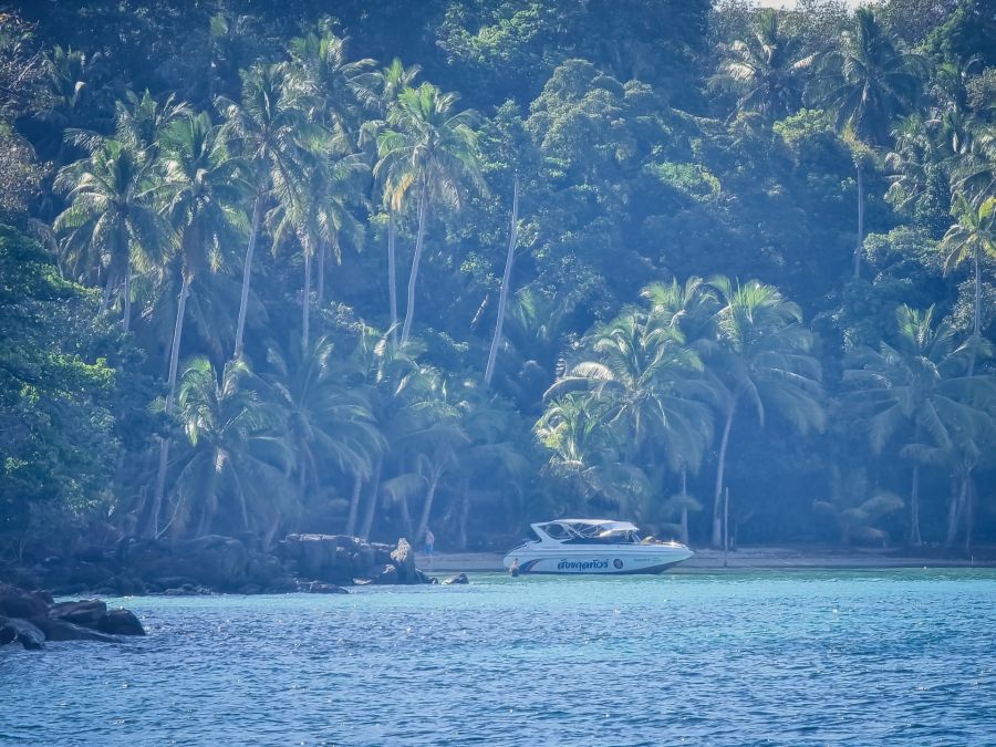 Bateau devant une plage bordée de palmiers tropicaux