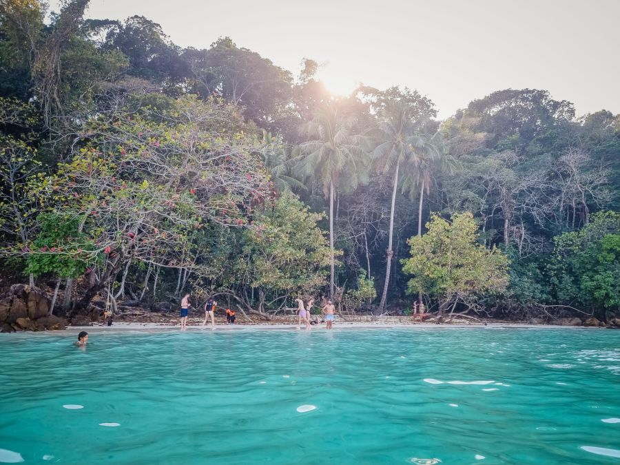 Plage tropicale bordée de palmiers et eau turquoise