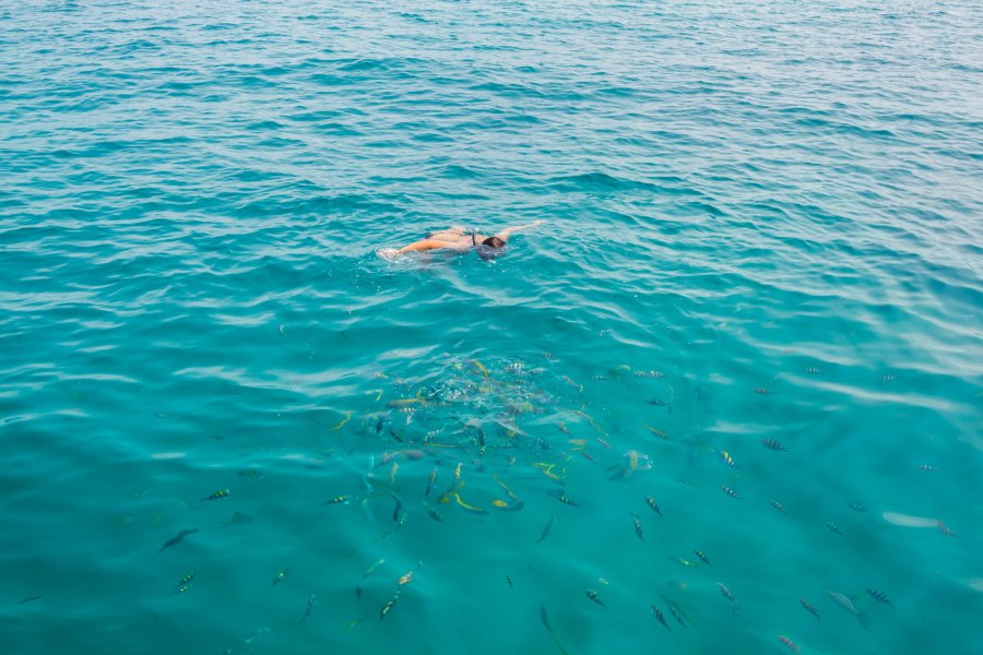 snorkeling koh rang