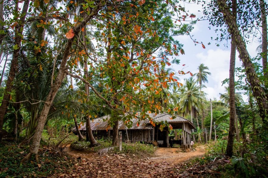maison dans les bois village ao thalong ko mak