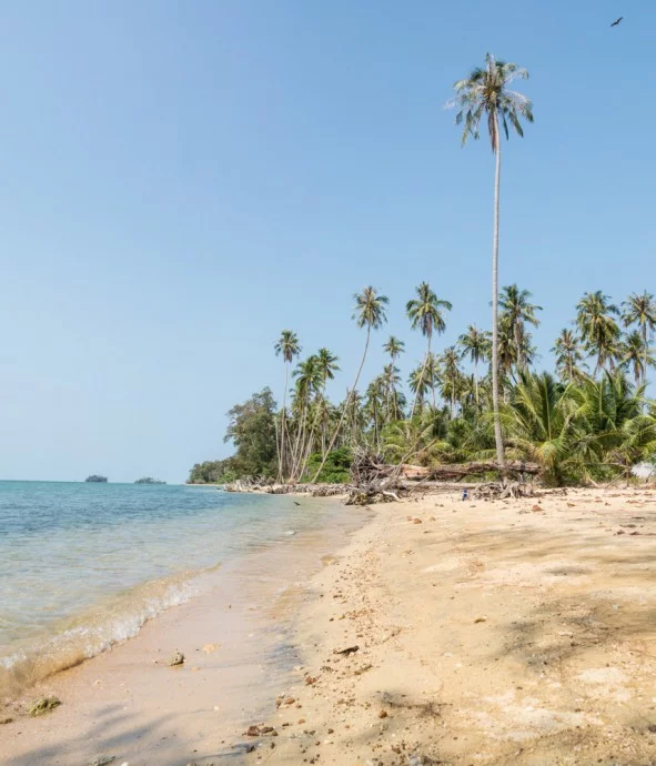 deer island beach koh kradat