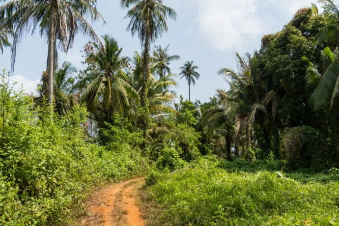 A small path leads to Laem Son beach on Ko Mak