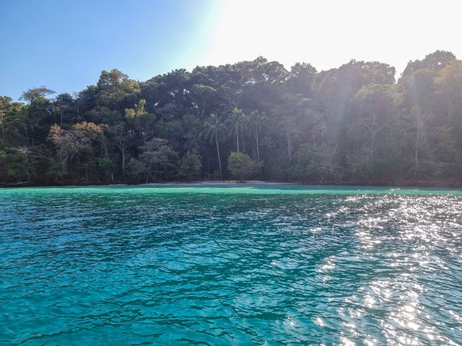 Eaux turquoise devant une île tropicale boisée