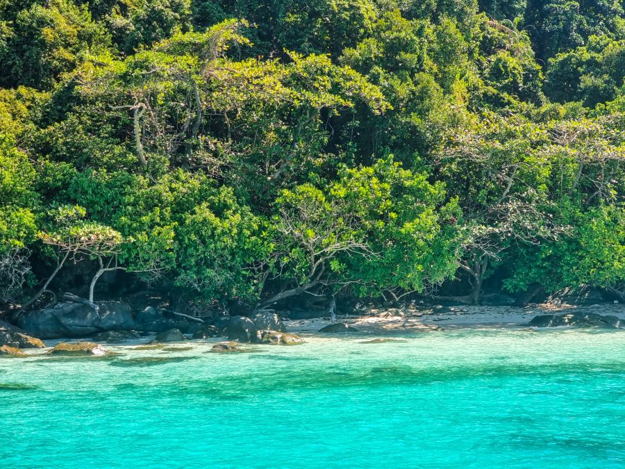 Crique tropicale bordée de forêt et d’eau turquoise