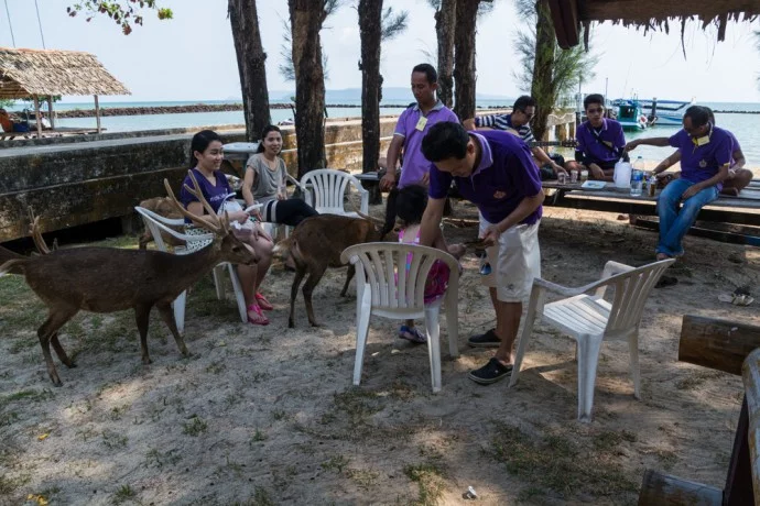 deer island koh kradat