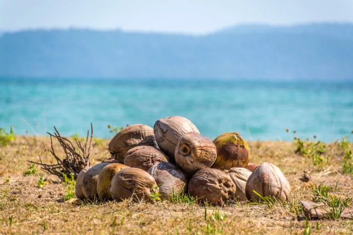 deer island koh kradat