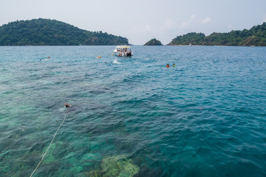 snorkeling koh rang