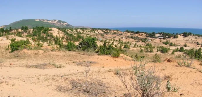 landscape Mui Ne Vietnam