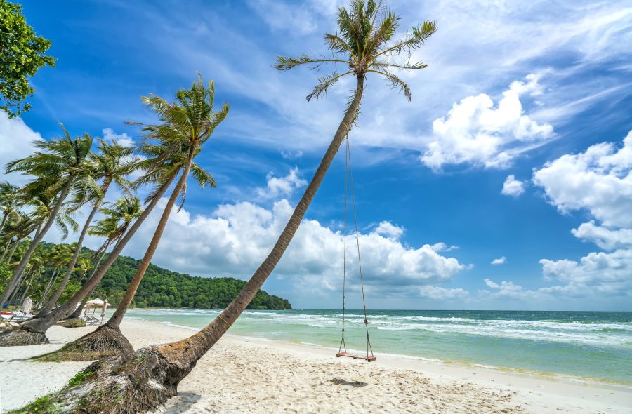 Balançoire suspendue à un palmier sur plage tropicale