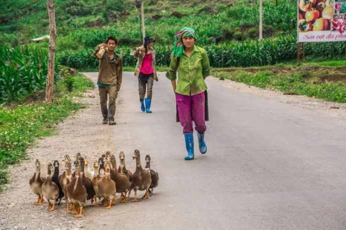 motorbike roadtrip north vietnam