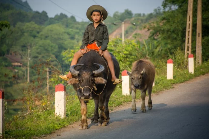 motorbike roadtrip north vietnam
