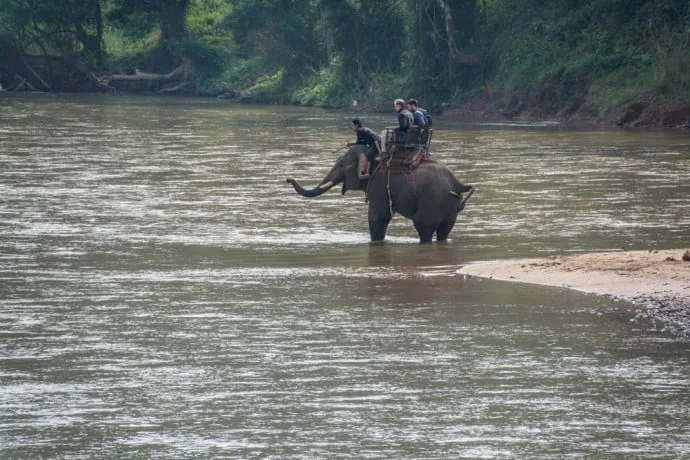 village karen elephant baan ruammit