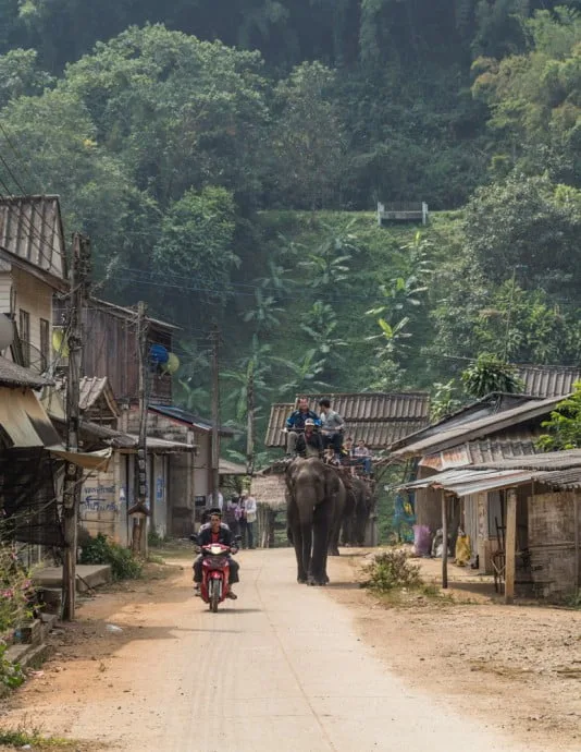 village karen elephant baan ruammit