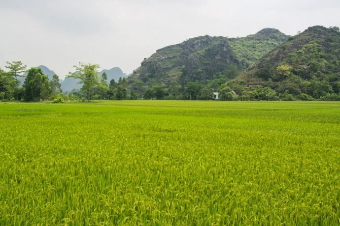 tam coc - ninh binh - Vietnam