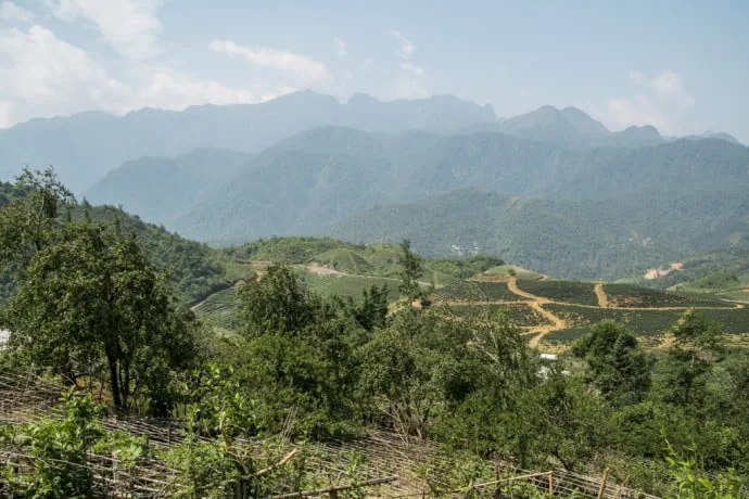 Vietnam