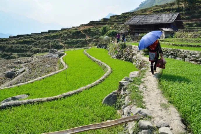 hmong village hau thao sapa vietnam