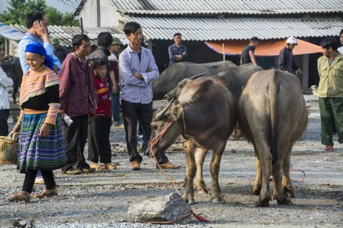 Bac Ha market Vietnam