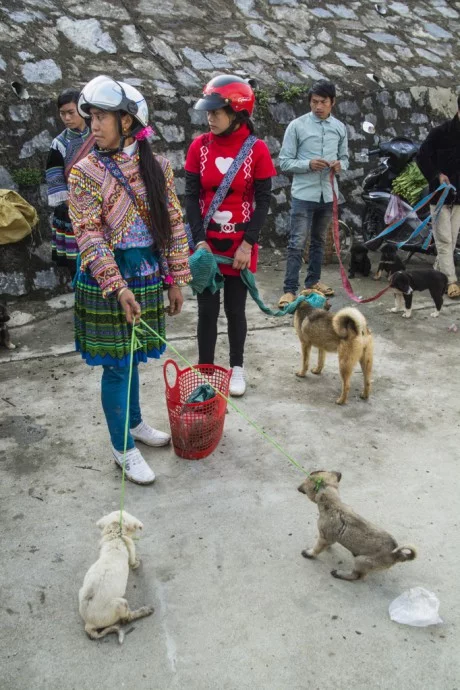 Bac Ha market Vietnam