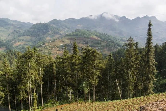 Bac Ha mountain Vietnam