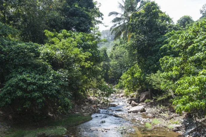 Thung Song - Nakhon Si Thammarat