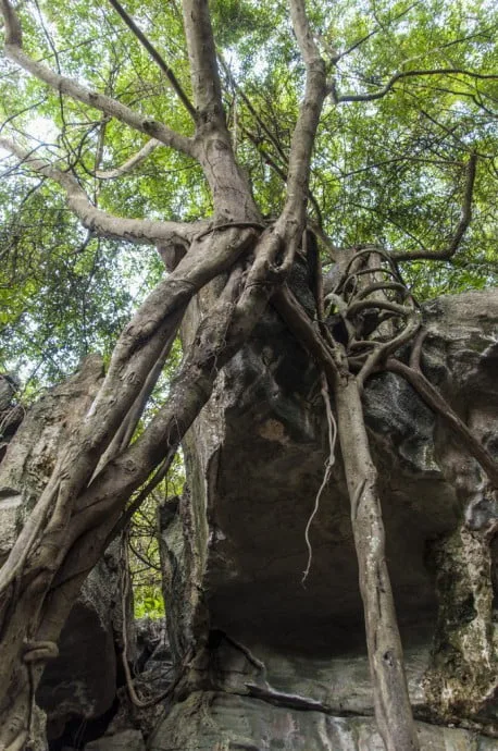 Tham Talot Thung Song