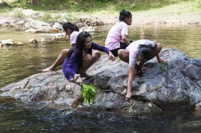 Thung Song - Namtok Yong National Park