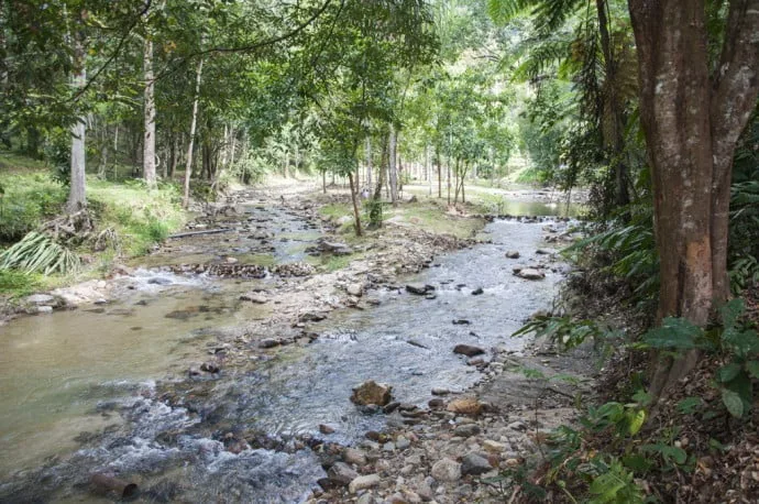Thung Song - Namtok Yong National Park